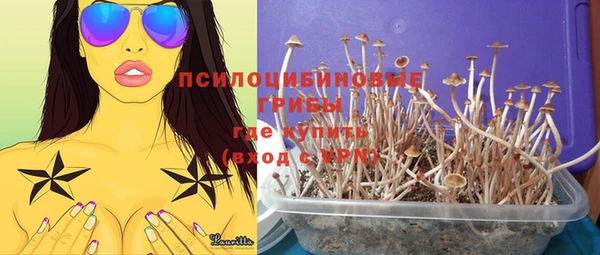 ешки Абаза