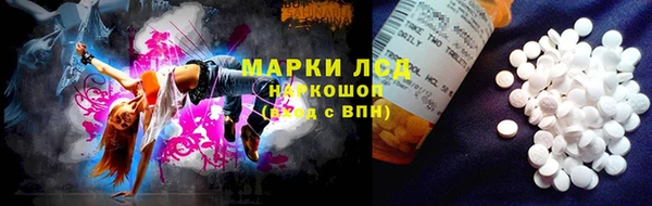 бошки Аркадак