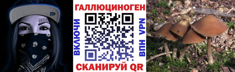 Галлюциногенные грибы Psilocybe  MEGA   Тверь 