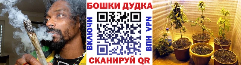 Бошки Шишки планчик Тверь